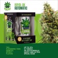 IGROWCAN - Royal AK Automatic